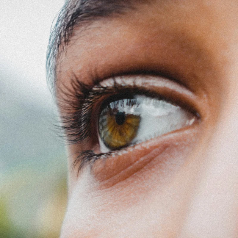 Elmquist Eye Group